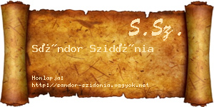 Sándor Szidónia névjegykártya